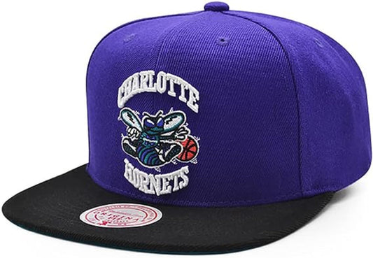 Men's Charlotte Hornets Mitchell & Ness NBA Core Basic HWC Purple/Black Snapback Hat