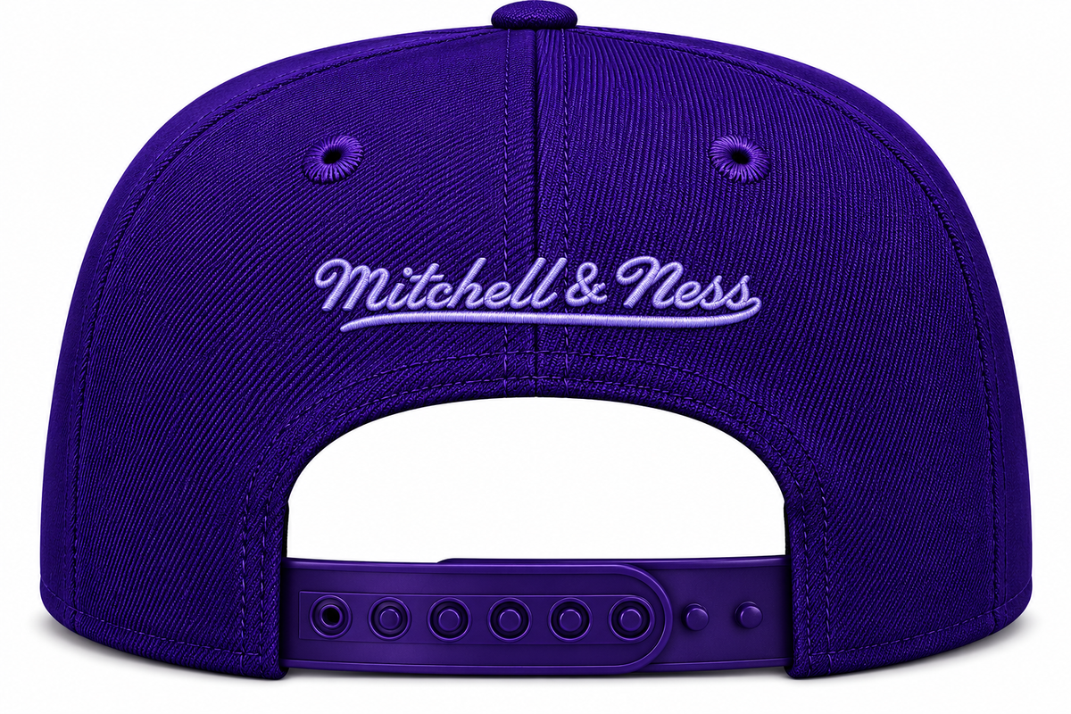 Los Angeles Lakers Mitchell & Ness Tonal Eclipse Snapback Hat- Purple