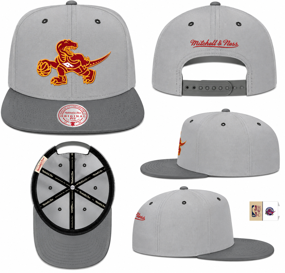 Men's Toronto Raptors NBA Cool Gray 3 HWC 2 Tone Mitchell & Ness Snapback Hat
