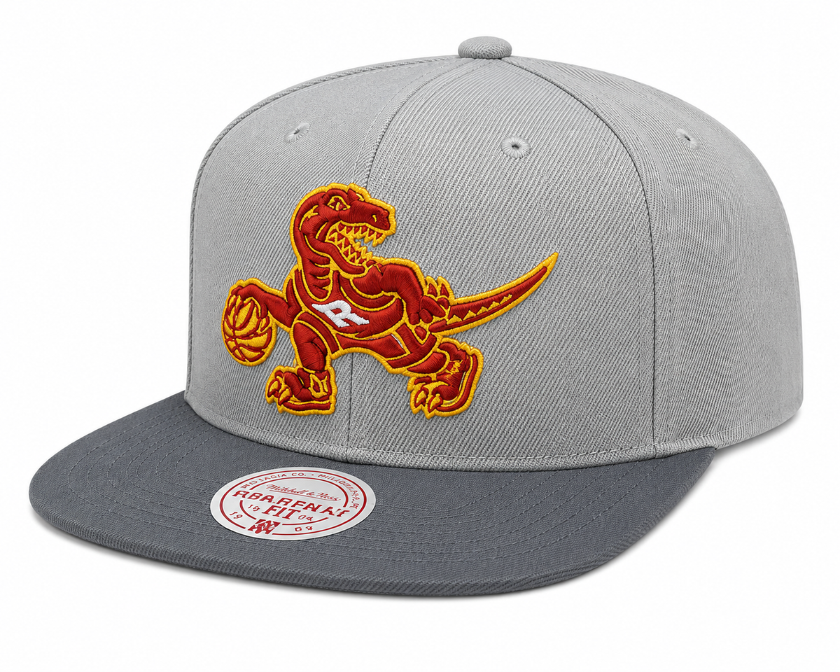 Men's Toronto Raptors NBA Cool Gray 3 HWC 2 Tone Mitchell & Ness Snapback Hat