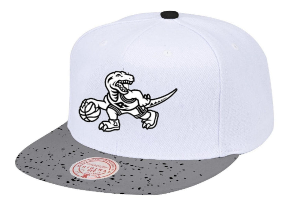 Men's Toronto Raptors NBA Cement Top HWC Mitchell & Ness Snapback Hat