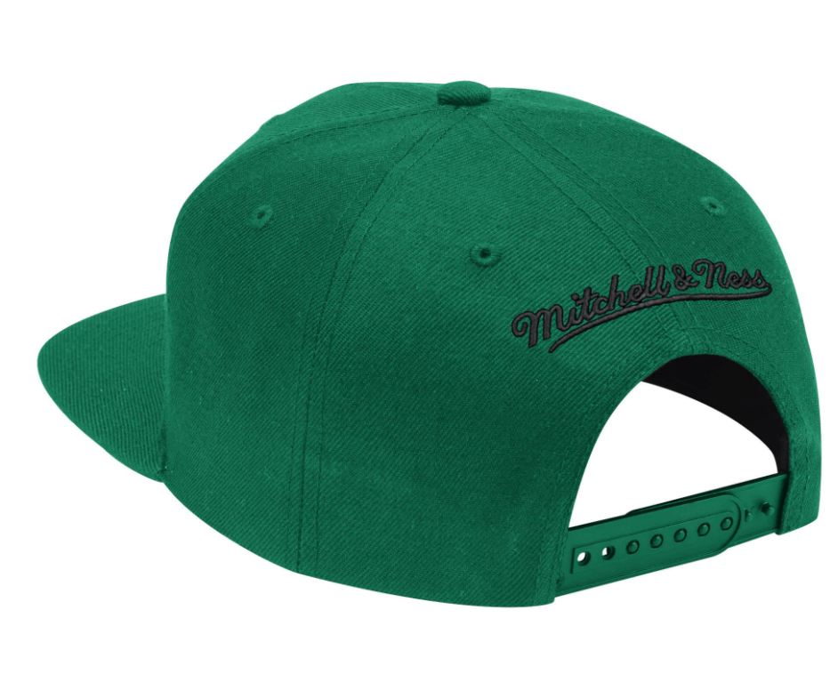 Mens Boston Celtics 2-Tone 2.0 Kelly Green Mitchell & Ness Snapback Hat