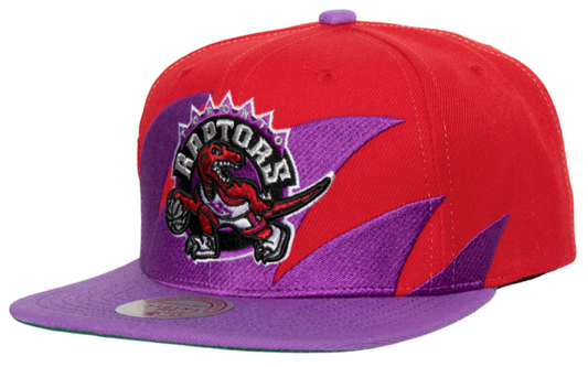 Toronto Raptors HWC Sharktooth Mitchell & Ness Snapback Hat
