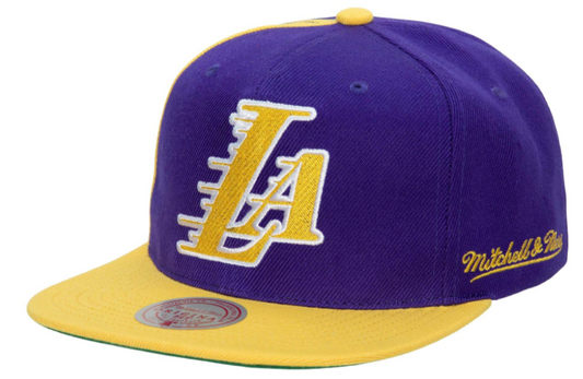 Los Angeles Lakers NBA Rear Script Deadstock Mitchell & Ness Snapback Hat