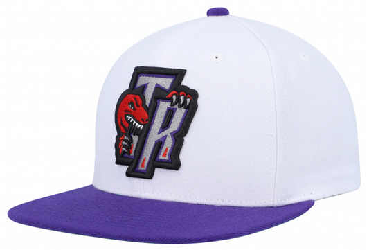 Men's Mitchell & Ness Toronto Raptors HWC White/Purple Adjustable Snapback Hat