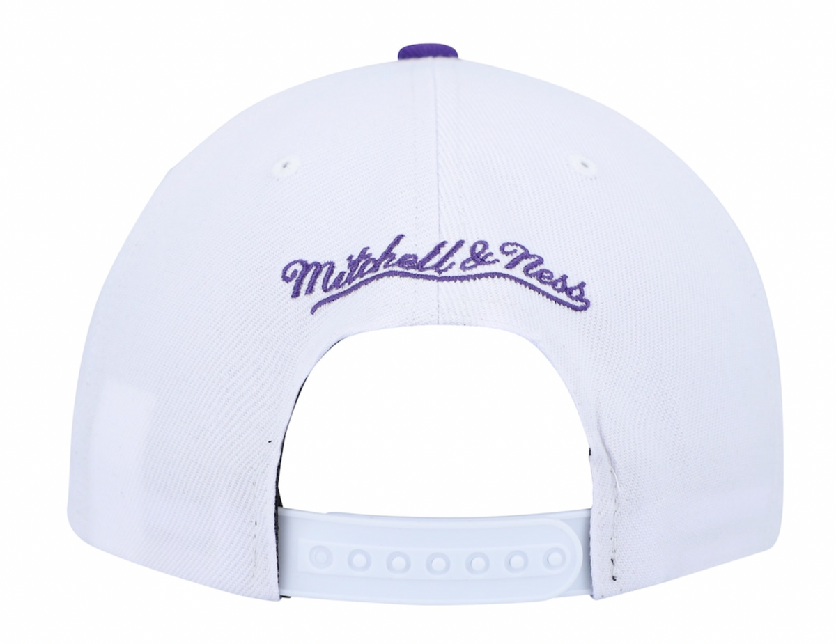 Men's Mitchell & Ness Toronto Raptors HWC White/Purple Adjustable Snapback Hat