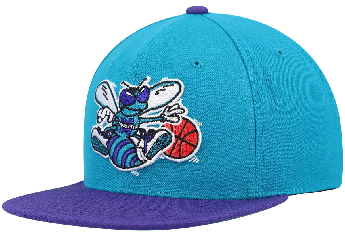 Men's Charlotte Hornets Mitchell & Ness 2 Tone Teal/ Purple Hardwood Classics 2.0 Snapback Adjustable Hat