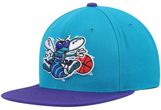 Men's Charlotte Hornets Mitchell & Ness 2 Tone Teal/ Purple Hardwood Classics 2.0 Snapback Adjustable Hat