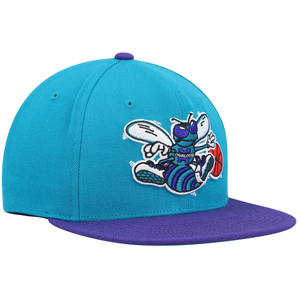 Men's Charlotte Hornets Mitchell & Ness 2 Tone Teal/ Purple Hardwood Classics 2.0 Snapback Adjustable Hat