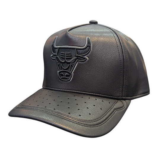 Chicago Bulls Mitchell & Ness NBA Black Day One Pro Snapback Hat