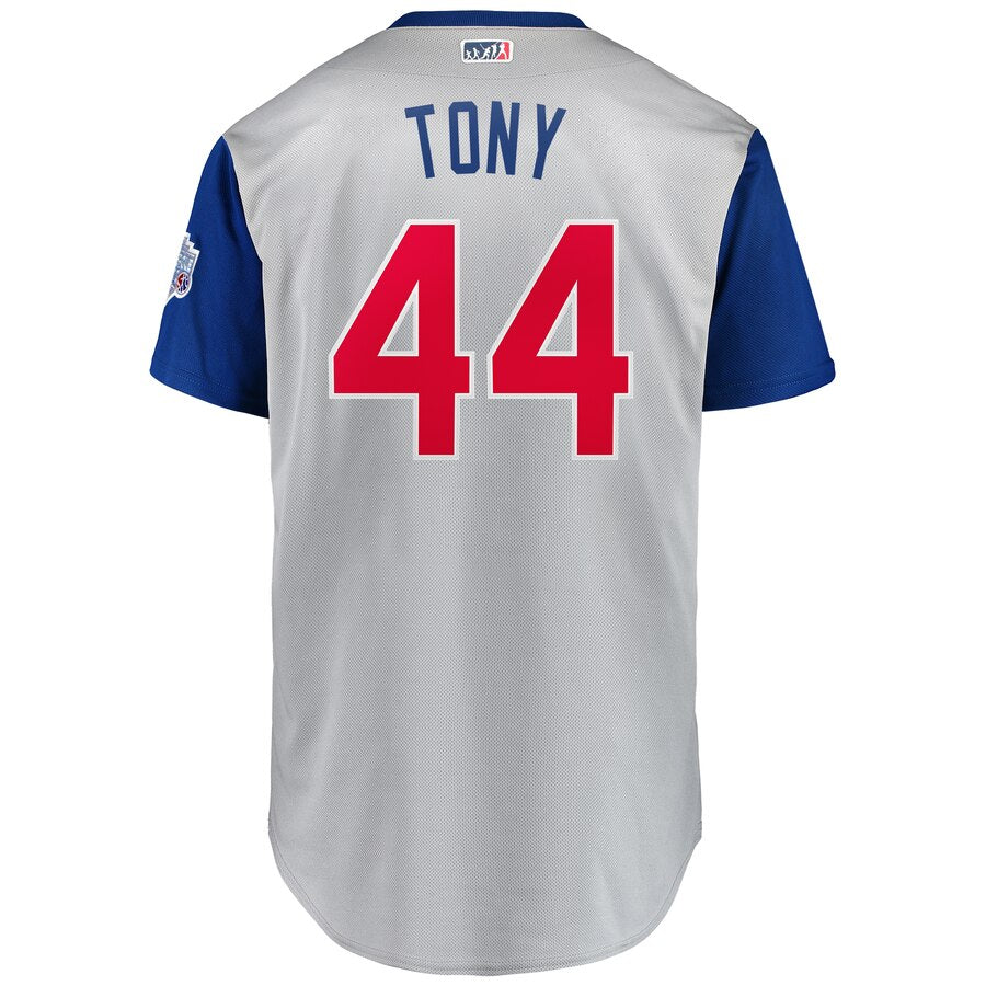 Men's Chicago Cubs Anthony Rizzo "Tony" Majestic Gray 2019 MLB Little League Classic Replica Player Jersey