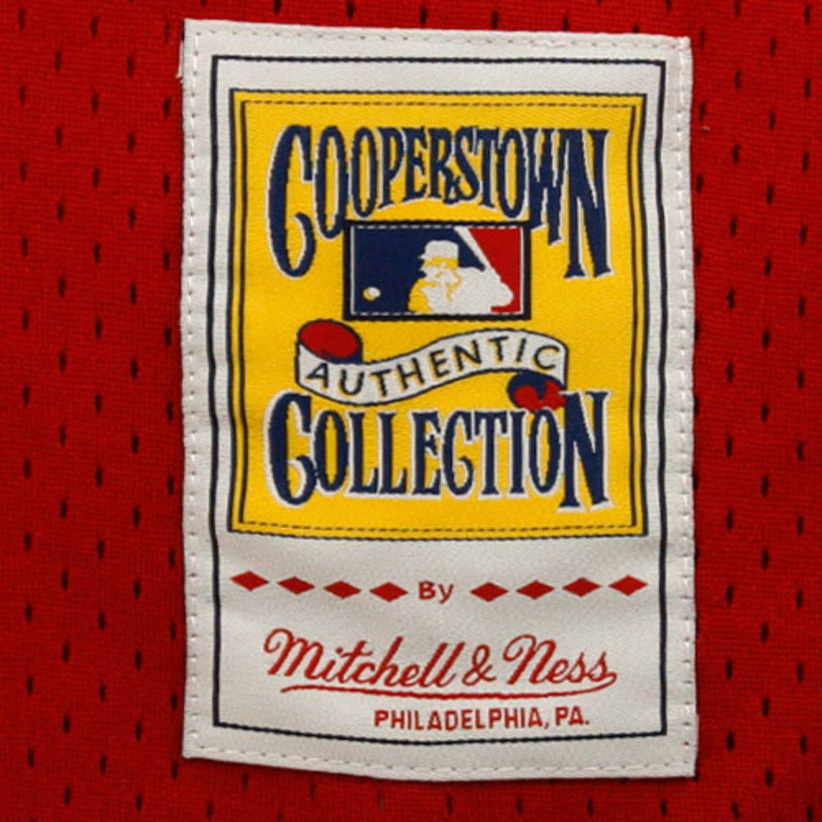 Men's Cincinnati Reds Johnny Bench Mitchell & Ness Red 1983 Authentic Cooperstown Collection Mesh Batting Practice Jersey