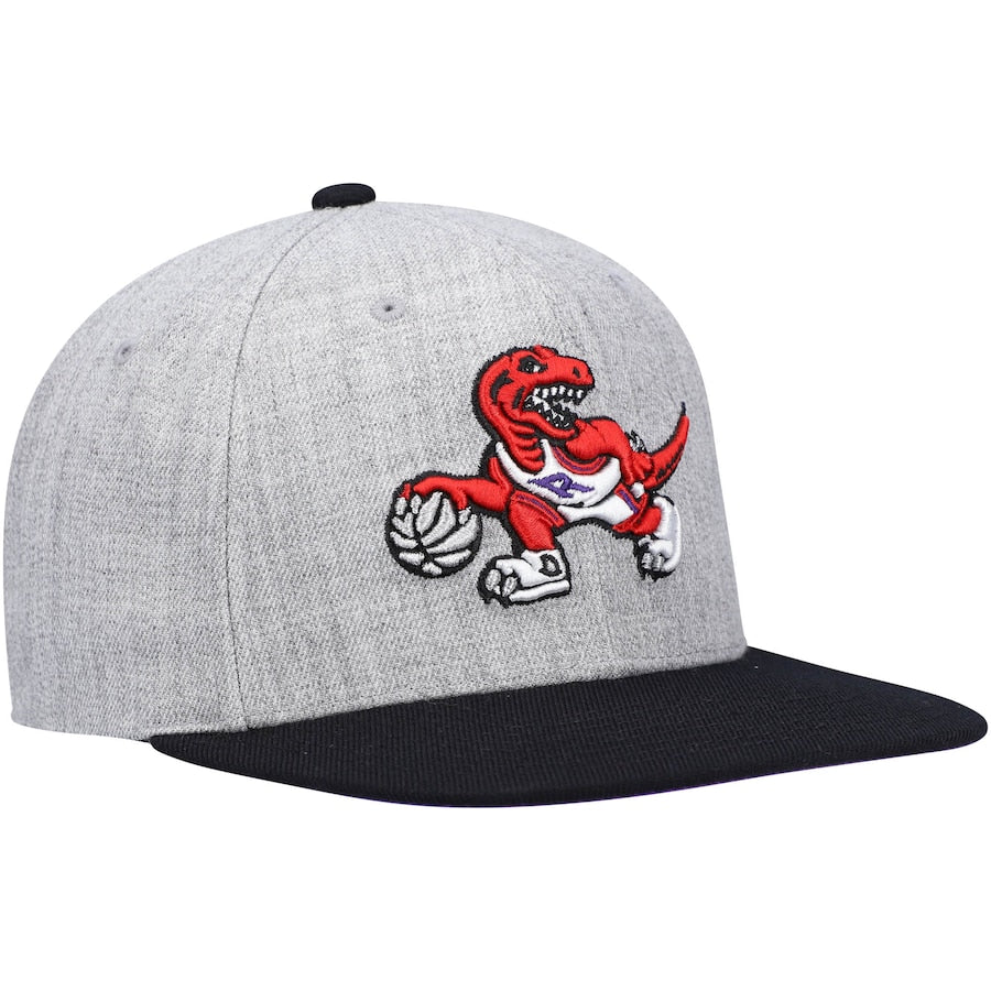 Men's Toronto Raptors Mitchell & Ness Gray/Purple Heathered Underpop Snapback Hat